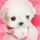 男子生日当天掐死30岁妻子